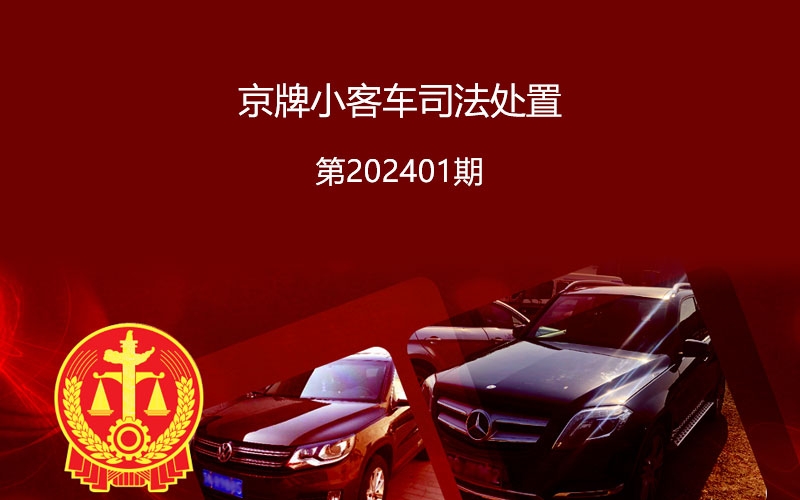 尊龙凯时官网支持北交所2024年第一期京牌小客车司法拍卖